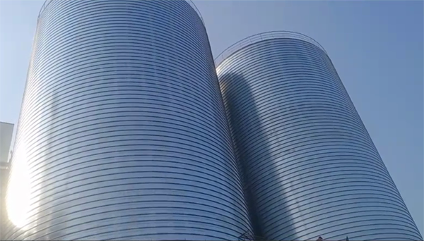 临武2座混凝土高架卷板仓